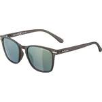 Herren-Sonnenbrille von Alpina Sports, in der Farbe Grau, aus Material-mix, andere Perspektive, Vorschaubild