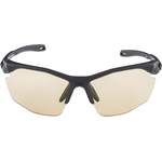 Herren-Sonnenbrille von Alpina Sports, in der Farbe Schwarz, aus Kunststoff, andere Perspektive, Vorschaubild