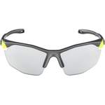 Herren-Sonnenbrille von Alpina Sports, in der Farbe Grün, aus Kunststoff, andere Perspektive, Vorschaubild