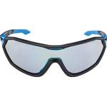 Herren-Sonnenbrille von Alpina Sports, aus Material-mix, andere Perspektive, Vorschaubild