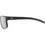 Herren-Sonnenbrille von Alpina Sports, in der Farbe Grau, aus Kunststoff, andere Perspektive, Vorschaubild