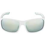 Herren-Sonnenbrille von Alpina Sports, in der Farbe Silber, aus Material-mix, Vorschaubild