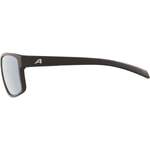 Herren-Sonnenbrille von Alpina, in der Farbe Grau, aus Kunststoff, andere Perspektive, Vorschaubild
