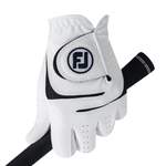 Golfhandschuh Herren der Marke FootJoy