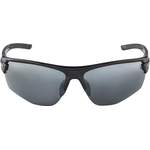 Herren-Sonnenbrille von Alpina Sports, in der Farbe Schwarz, aus Kunststoff, andere Perspektive, Vorschaubild