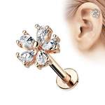 Taffstyle Piercing-Set der Marke Taffstyle