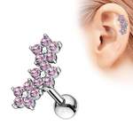 Taffstyle Piercing-Set der Marke Taffstyle