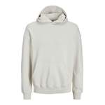 Sweatshirt 'COLLECTIVE' der Marke jack & jones