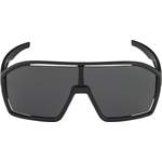 Herren-Sonnenbrille von Alpina Sports, in der Farbe Grau, aus Material-mix, andere Perspektive, Vorschaubild