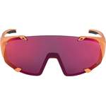 Herren-Sonnenbrille von Alpina Sports, in der Farbe Rosa, aus Kunststoff, andere Perspektive, Vorschaubild