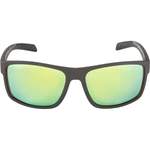 Herren-Sonnenbrille von Alpina, in der Farbe Grün, aus Kunststoff, andere Perspektive, Vorschaubild