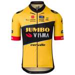 TEAM JUMBO-VISMA der Marke AGU