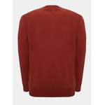 Sweatshirt von Dickies, in der Farbe Rot, aus Baumwolle, andere Perspektive, Vorschaubild