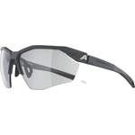 Herren-Sonnenbrille von Alpina Sports, in der Farbe Grau, andere Perspektive, Vorschaubild
