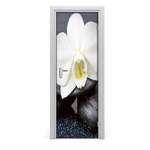 Zen Orchidee der Marke Ebern Designs