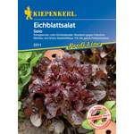 Kiepenkerl Eichblattsalat der Marke Pflanzen