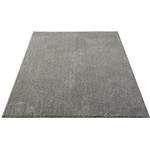 Hochflor-Teppich Renton der Marke the carpet