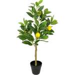 Kunstpflanze Zitronenbaum der Marke I.GE.A.