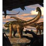 Fototapete Seismosaurus der Marke KOMAR