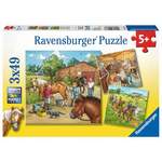 Ravensburger 09237 der Marke Ravensburger