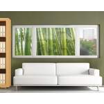 Fensterfolie Bamboo der Marke Bilderwelten