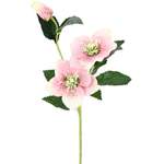 Kunstpflanze von I.Ge.A., in der Farbe Rosa, aus Kunststoff, Vorschaubild