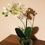 Kunstpflanze Orchidee