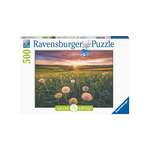 Ravensburger Pusteblumen der Marke Ravensburger Verlag