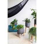 Pflanzenkübel von finestgreen, in der Farbe Schwarz, andere Perspektive, Vorschaubild