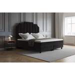 Boxspringbett Adelline der Marke Canora Grey