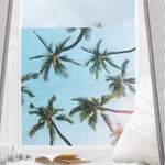 Fensterfolie Palmengiganten der Marke Bilderwelten