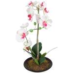 Künstliche Orchidee der Marke BURI