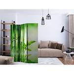 Raumteiler von Artgeist, in der Farbe Grün, aus Massivholz, andere Perspektive, Vorschaubild