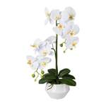 Kunstblume Orchidee der Marke Gasper
