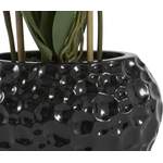 Kunstpflanze von Leonique, in der Farbe Schwarz, aus Kunststoff, andere Perspektive, Vorschaubild