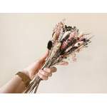 Trockenblume Tauschpaket der Marke FlowerBar by Trockenblumen-Manufaktur