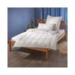 Bettdecke von Traumschlaf, in der Farbe Beige, aus Baumwolle, andere Perspektive, Vorschaubild