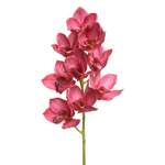 Künstlicher Orchideen der Marke zeitzone