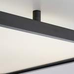 Deckenlampe von Helestra, in der Farbe Schwarz, aus Kunststoff, andere Perspektive, Vorschaubild