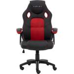 Raptor-Gaming Gaming-Stuhl der Marke Raptor-Gaming