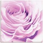 Bild von Artland, in der Farbe Rosa, aus Holz, andere Perspektive, Vorschaubild