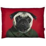 Hundebett China der Marke We Love Cushions