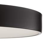 Deckenlampe von TEMAR LIGHTING, in der Farbe Schwarz, aus Stahl, andere Perspektive, Vorschaubild