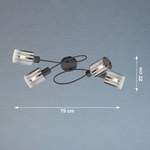 Deckenlampe von Fischer Honsel, in der Farbe Schwarz, aus Metall, andere Perspektive, Vorschaubild