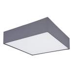 Deckenlampe von GLOBO Lighting, in der Farbe Grau, aus Kunststoff, andere Perspektive, Vorschaubild