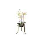 Blumenständer von Möbel direkt online, in der Farbe Gold, aus Metall, Vorschaubild