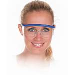 HYGOSTAR® Allzweckschutzbrille der Marke Franz Mensch GmbH