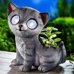 Solar-Katze mit der Marke Weltbild