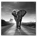 Sonnenschutz Elefant der Marke Wallario