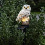 LED-Solarleuchte Owl der Marke Star Trading